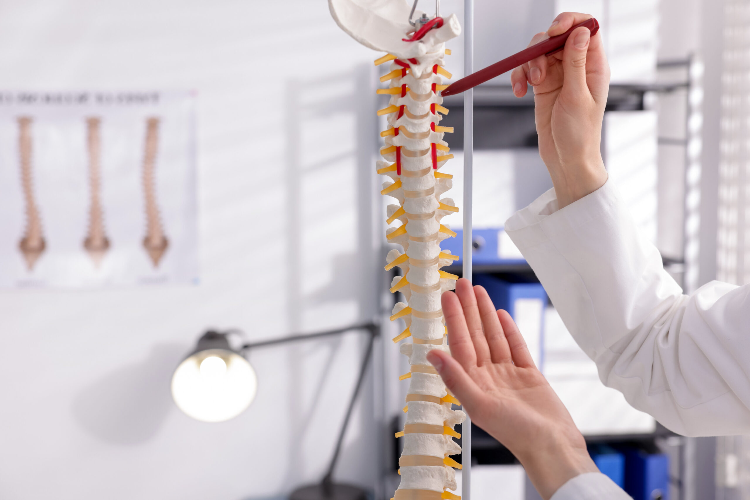 Experienced spine surgeon explaining parts of a human spine model, highlighting spine anatomy and surgical expertise.