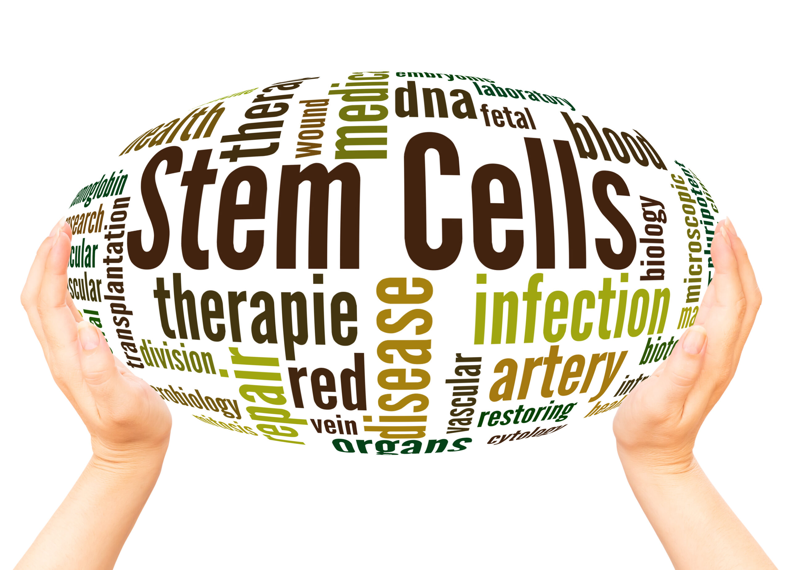 Discover how stem cell treatment for joints regenerates damaged tissues