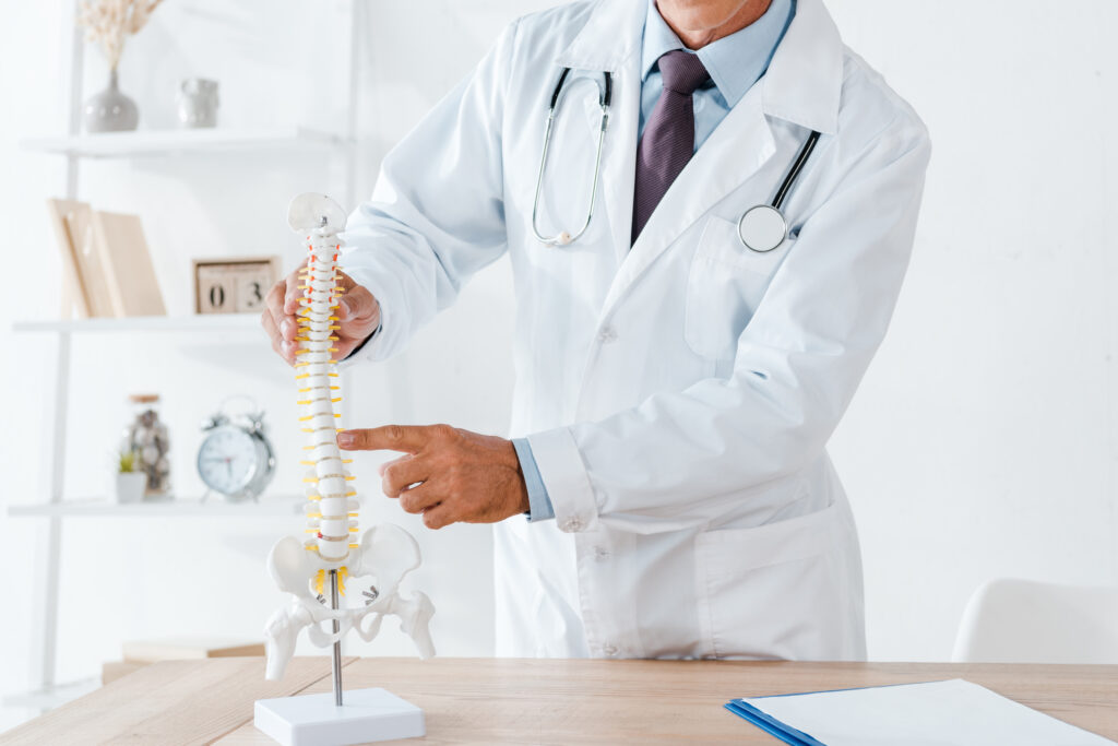 Current image: Spine Hospitals in Bengaluru